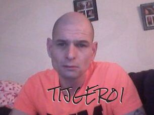 TIJGER01