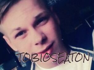 TOBIOS_EATON Spicy Blogs