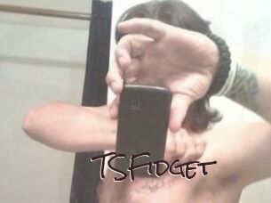 TSFidget