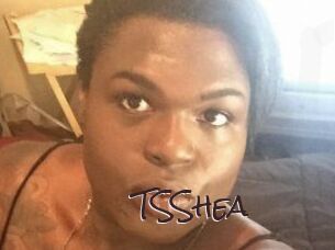TS_Shea