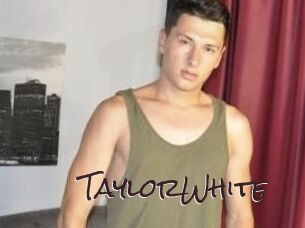 TaylorWhite Spicy Blogs