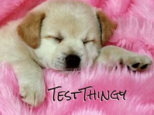TestThingy