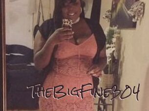 TheBigFine304