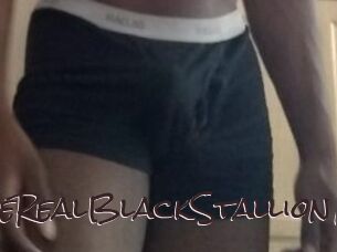 TheRealBlackStallion1
