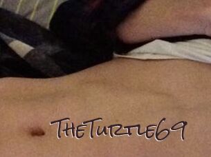 TheTurtle69