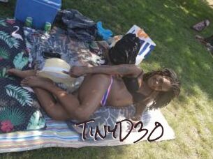 TinyD30