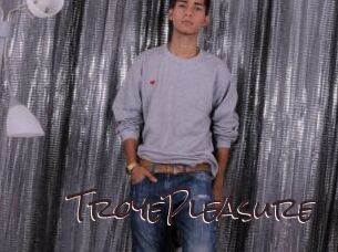 TroyePleasure Spicy Blogs