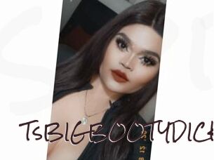TsBIGBOOTYDICK
