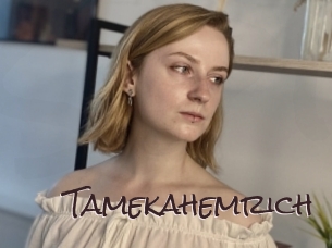 tamekahemrich Spicy Blogs