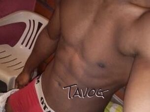 Tavog
