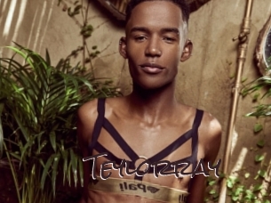 teylorray Spicy Blogs
