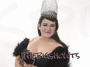 Thebigshowts