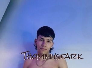thommystark Spicy Blogs