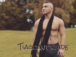 tiagoandrade Spicy Blogs
