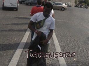 Tigrenegro