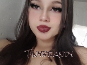 Tinybrandy