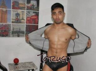 Torusd