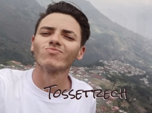 tossetrech Spicy Blogs