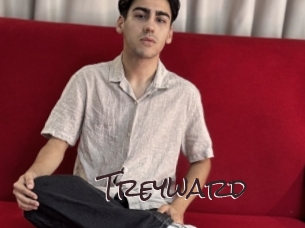 treyward Spicy Blogs
