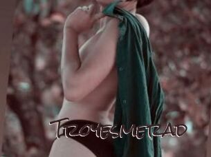 Troyesmerad