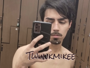 Twunkmikee