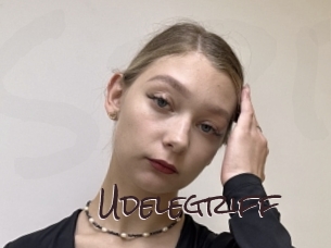 Udelegriff