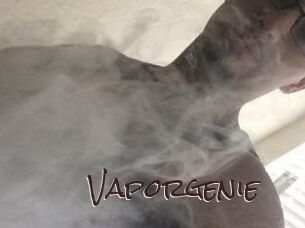 Vapor_genie