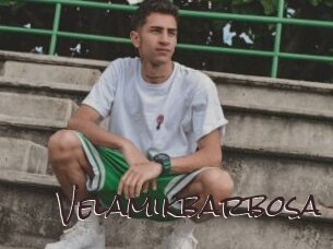 Velamikbarbosa