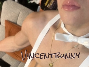 Vincentbunny