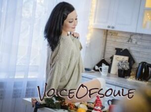 voiceOfsoule Spicy Blogs