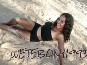 WETEBONY1993