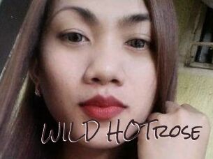 WILD_HOTrose