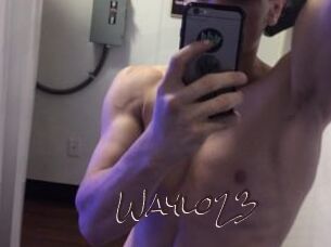Waylo23
