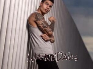 WayneDavis