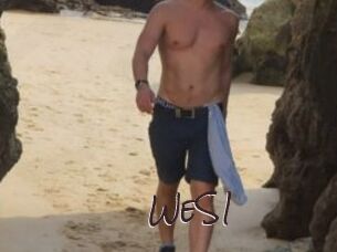 WeS1