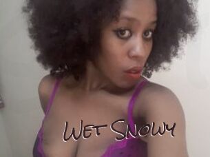 Wet_Snowy