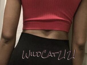 WildCat2121