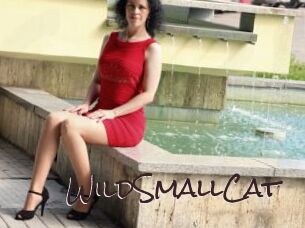 WildSmallCat