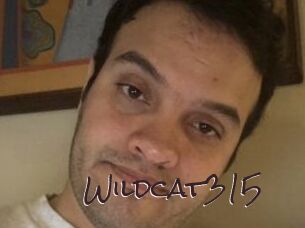 Wildcat315