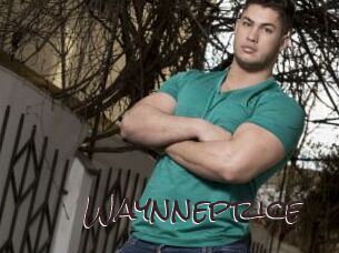 Waynneprice