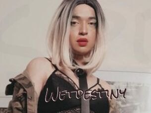 Wetdestiny
