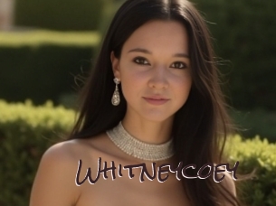 whitneycoey Spicy Blogs