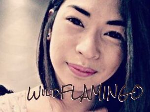 WildFLAMINGO