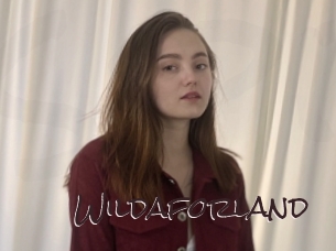 wildaforland Spicy Blogs