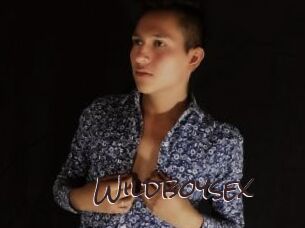 Wildboysex