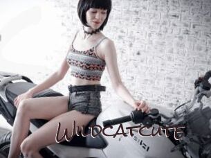 Wildcatcute