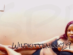 Wildkittenxxx29