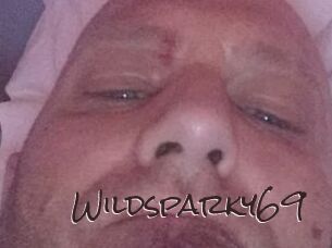 Wildsparky69