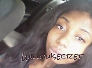 Willow_secret