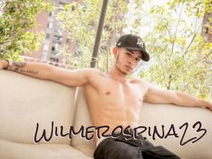 Wilmerospina23